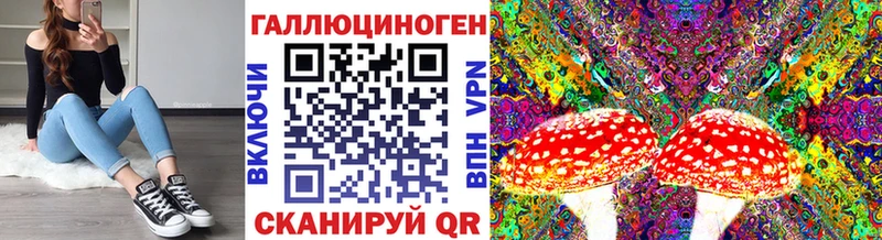 Псилоцибиновые грибы мухоморы  купить  цена  OMG маркетплейс  Снежногорск 